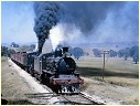 D3 639,K161,Cheviot