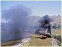D3 639,K161,Cheviot
