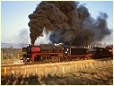 D3 639,R706,Homewood