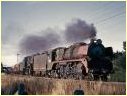 R748,J556,Ararat