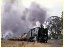 N460,Ararat