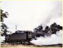 J556,Hamilton