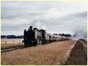 N483,Hamilton