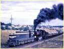 T353,J533,Hamilton