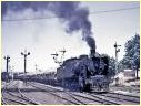 N483,Hamilton