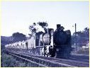 N475,Ararat
