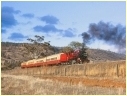 MA4,Macquarie Plains