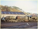 ASG17,Burnie