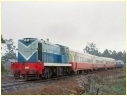 1001,Burnie