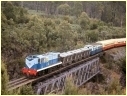 1001,Burnie