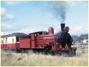 CCS23,Mole Creek