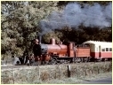 CCS,Deloraine