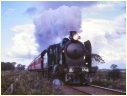 K184,Foster