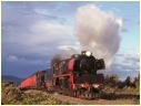 K184,R707,Foster