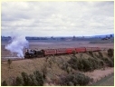 D3 639,Tarrawarra