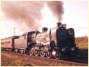 A2 986,Manor