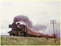 J557,Ararat