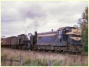 T347,N475,Ararat