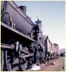 N468,Ararat