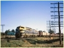 S301,Ararat