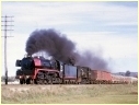 R748,N482,Ararat