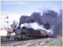 N430,Ballarat