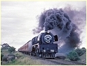 R706,Little River