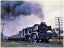 R719,Ararat