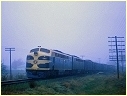 S307,Ararat