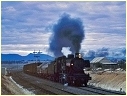 J510,Ararat