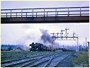J531,Ararat