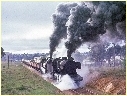 J547,J554,Maryborough
