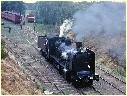K181,Wedderburn