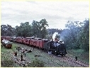 K181,Wedderburn