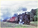 K188,Maryborough