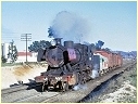 J555,Ararat