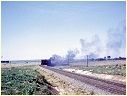 J528,Ararat