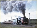 R769,Manor