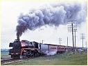 R769,Grovedale