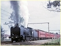N468,Croydon