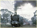 N468,Lilydale