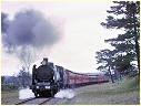 N468,Coldstream