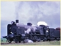 N468,Tarrawarra 