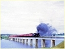 J505,Joyces Creek