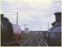 R704,D3 640,Bendigo