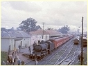 D3 684,Shepparton