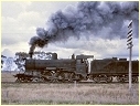 D3 684,Tallygaroopna