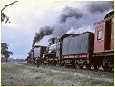 D3 684,D3 639,Numurkah