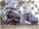 D3 684,Numurkah