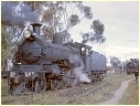 D3 684,Numurkah